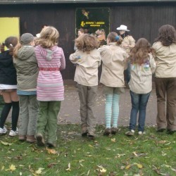 HPIM1461 - Scouts en Gidsen Zaventem 